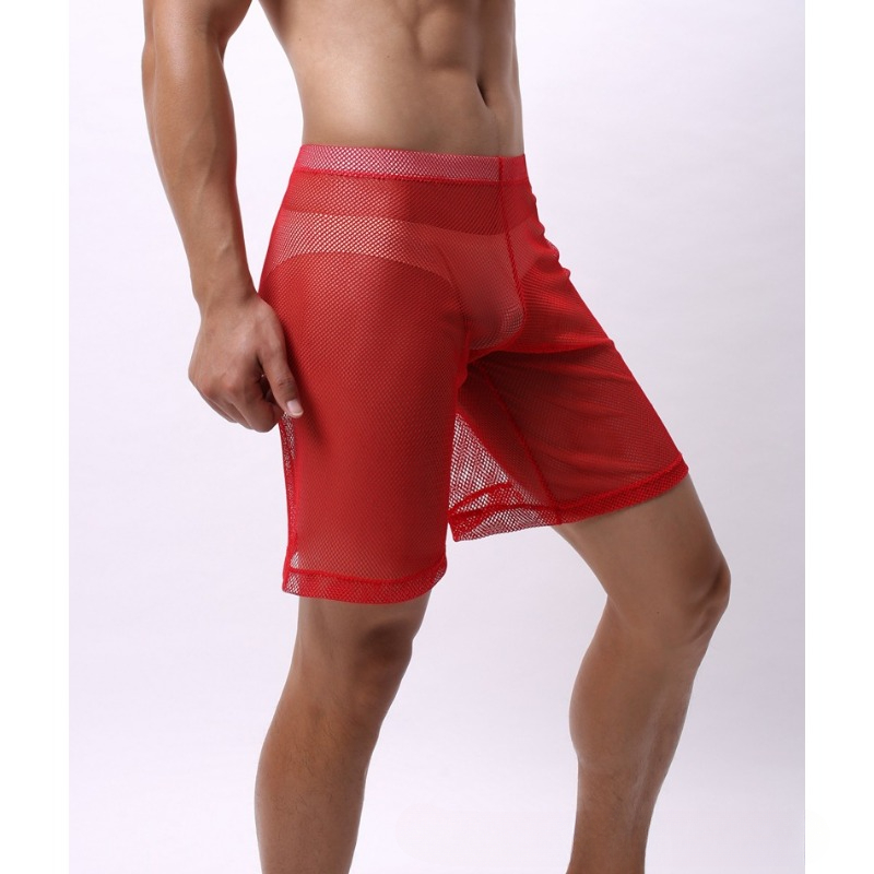 Low Rise Mesh Erotic Underwear - огляд і ціна Trunk Breathable Men